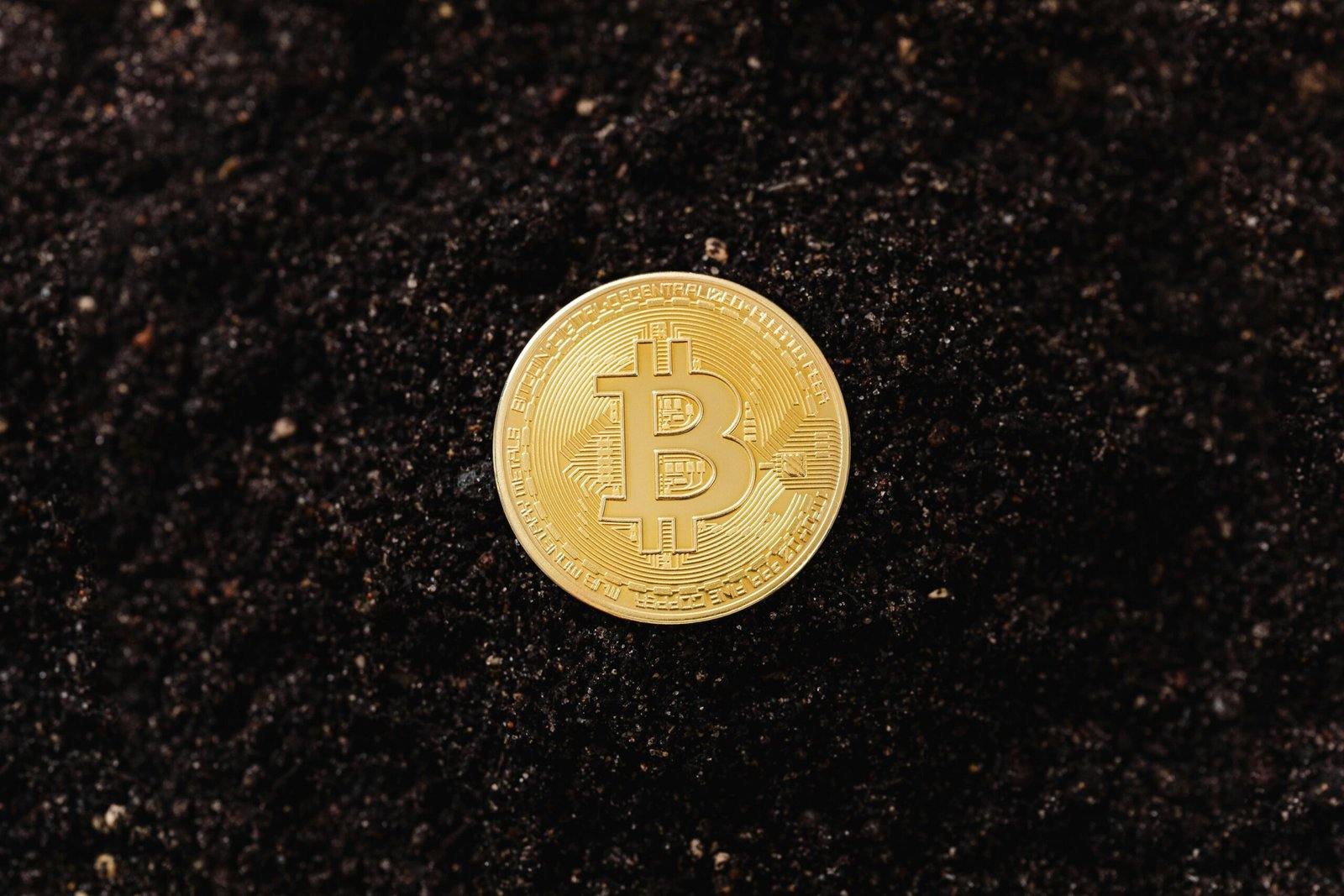 A shiny Bitcoin coin resting on a bed of dark soil symbolizing digital wealth.